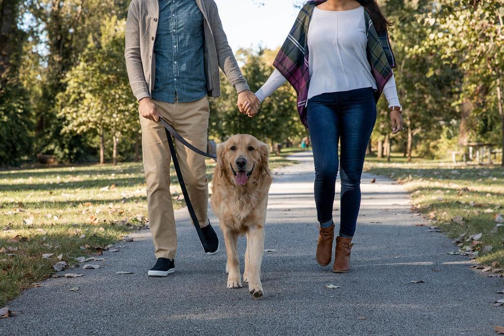 a couple walking their dog